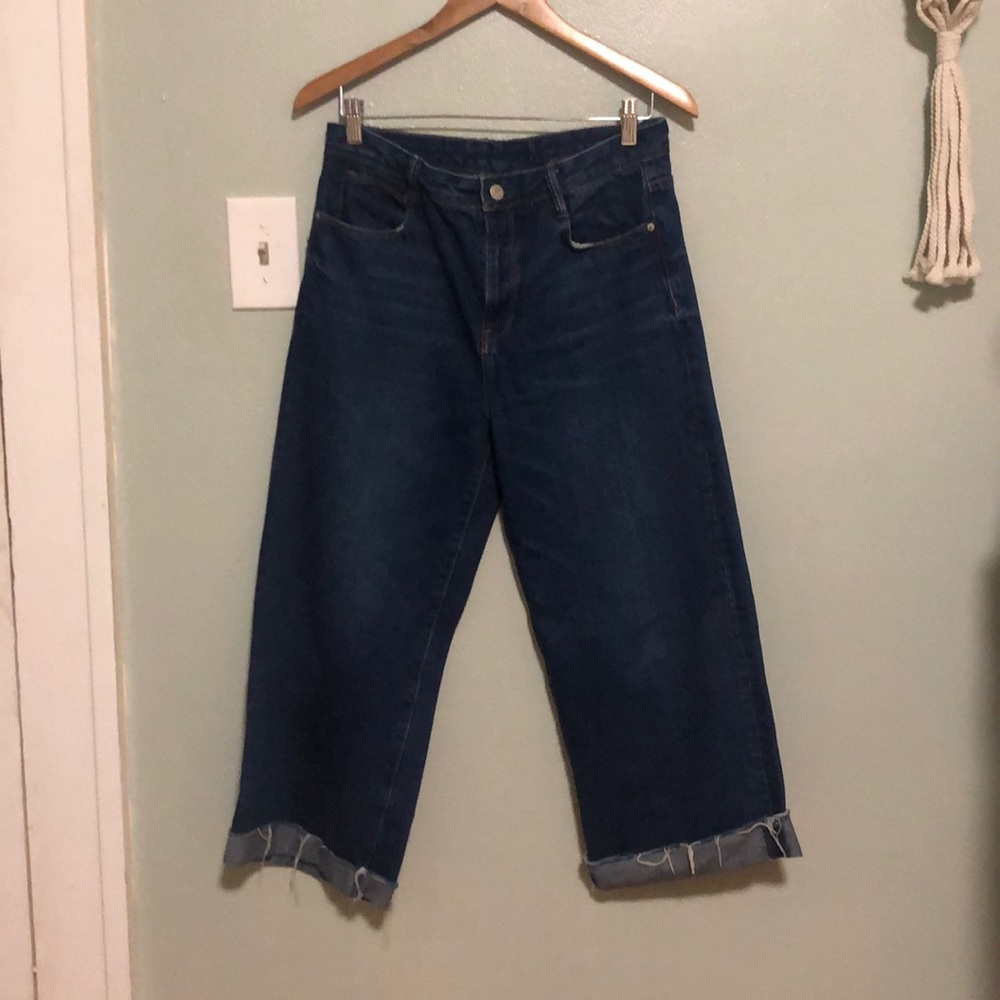 Zara Cropped Ankle Culottes Size 8 w/ Button Fly